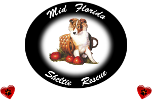 Mid Florida Sheltie Rescue